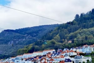 Privétour Hardangerfjord veerbootcruise vøringsfossen wandeltocht