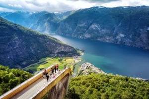 Nærøyfjord Cruise, Flåm, and Stegastein - Bus from Bergen