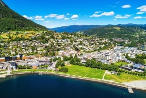 ネーロイフィヨルドクルーズ、フロム、ステガステイン - ランチ付き