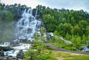 ネーロイフィヨルドクルーズ、フロム、ステガステイン - ランチ付き