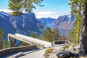 Bergen: Excursión de un día en tren de Flam, Stegastein y crucero por los fiordos