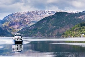 Bergen: Excursión de un día en tren de Flam, Stegastein y crucero por los fiordos
