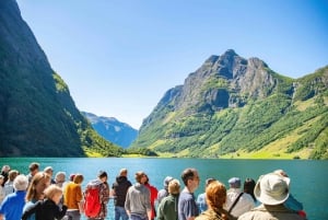 Bergen: Excursión de un día en tren de Flam, Stegastein y crucero por los fiordos