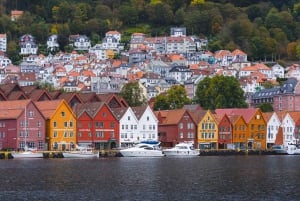 Bergen: Excursión de un día en tren de Flam, Stegastein y crucero por los fiordos