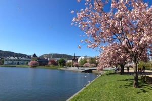 Bergen: Excursión de un día en tren de Flam, Stegastein y crucero por los fiordos