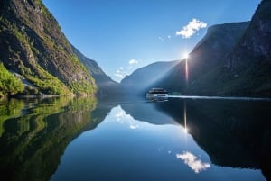 Bergen: Excursión de un día en tren de Flam, Stegastein y crucero por los fiordos