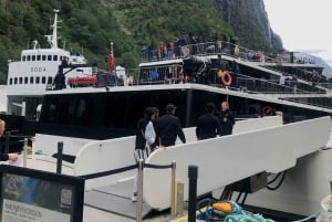 Bergen: Excursión de un día en tren de Flam, Stegastein y crucero por los fiordos