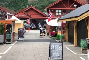 Bergen: Excursión de un día en tren de Flam, Stegastein y crucero por los fiordos