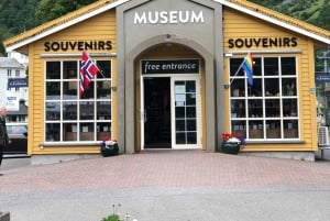 Bergen: Excursión de un día en tren de Flam, Stegastein y crucero por los fiordos