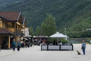Bergen: Excursión de un día en tren de Flam, Stegastein y crucero por los fiordos
