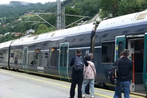 Bergen: Excursión de un día en tren de Flam, Stegastein y crucero por los fiordos