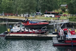 Bergen: Excursión de un día en tren de Flam, Stegastein y crucero por los fiordos