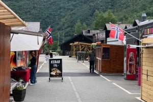 Bergen: Excursión de un día en tren de Flam, Stegastein y crucero por los fiordos