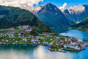 Bergenistä: Flamin kokopäiväristeily Sognefjordiin