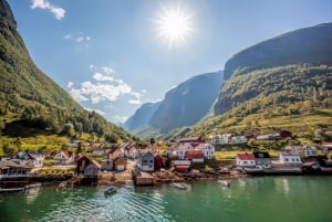 From Bergen: Flam Full-Day Cruise to Sognefjord