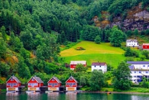 From Bergen: Flam Full-Day Cruise to Sognefjord