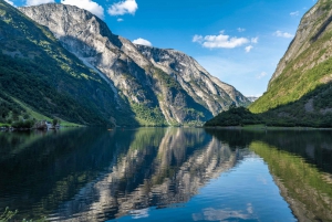 Fra Bergen: Flam-færdtur på en hel dag til Sognefjord