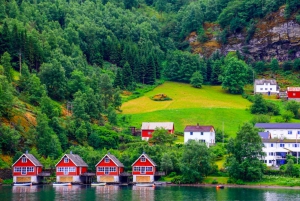 Fra Bergen: Flam-færdtur på en hel dag til Sognefjord
