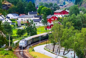 Fra Bergen: Flam-færdtur på en hel dag til Sognefjord