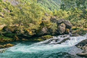 From Bergen: Folgefonna National Park & Glacier Lake Tour