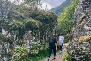 From Bergen: Folgefonna National Park & Glacier Lake Tour