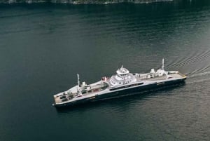 From Bergen: Folgefonna National Park & Glacier Lake Tour