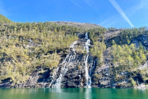From Bergen: Modalen Private Fjord Cruise with Waterfalls