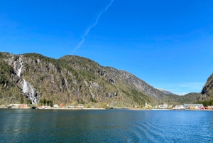 From Bergen: Modalen Private Fjord Cruise with Waterfalls