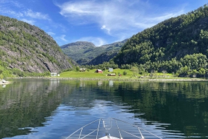 From Bergen: Modalen Private Fjord Cruise with Waterfalls
