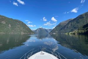 From Bergen: Modalen Private Fjord Cruise with Waterfalls