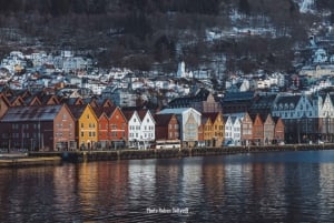 From Bergen: Mostraumen Fjord and Waterfall Cruise