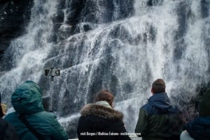 From Bergen: Mostraumen Fjord and Waterfall Cruise