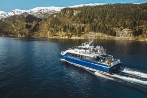 From Bergen: Mostraumen Fjord and Waterfall Cruise