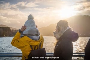 From Bergen: Mostraumen Fjord and Waterfall Cruise