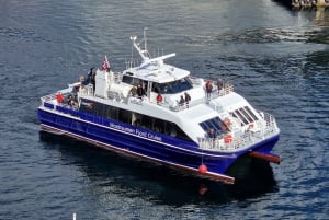 From Bergen: Mostraumen Fjord and Waterfall Cruise