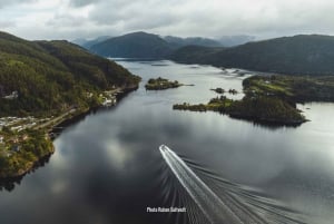 From Bergen: Mostraumen Fjord and Waterfall Cruise