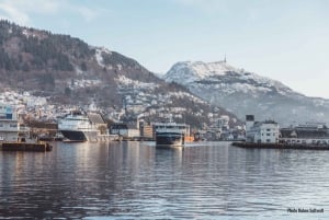 From Bergen: Mostraumen Fjord and Waterfall Cruise