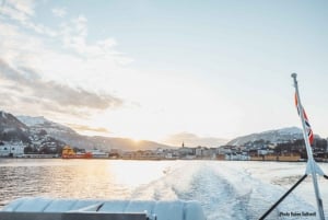 From Bergen: Mostraumen Fjord and Waterfall Cruise