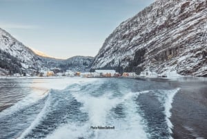 From Bergen: Mostraumen Fjord and Waterfall Cruise