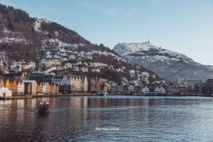 From Bergen: Mostraumen Fjord and Waterfall Cruise