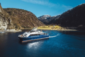 Bergen: Mostraumen Fjord Cruise – Den lokala operatören