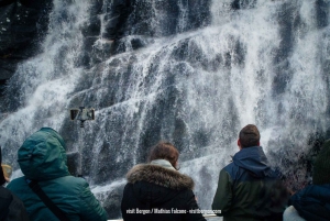 Bergen: Mostraumen Fjord Cruise – Den lokala operatören