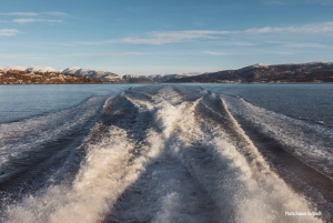 Bergen: Mostraumen Fjord Cruise – Den lokala operatören