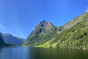 Da Bergen: crociera privata di 2 giorni al fiordo di Sognefjorden