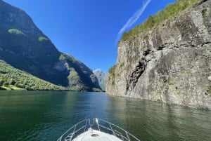 Da Bergen: crociera privata di 2 giorni al fiordo di Sognefjorden