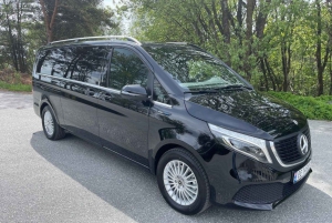 Z Bergen: prywatny transfer do Gudvangen