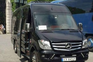 Z Bergen: prywatny transfer do Gudvangen