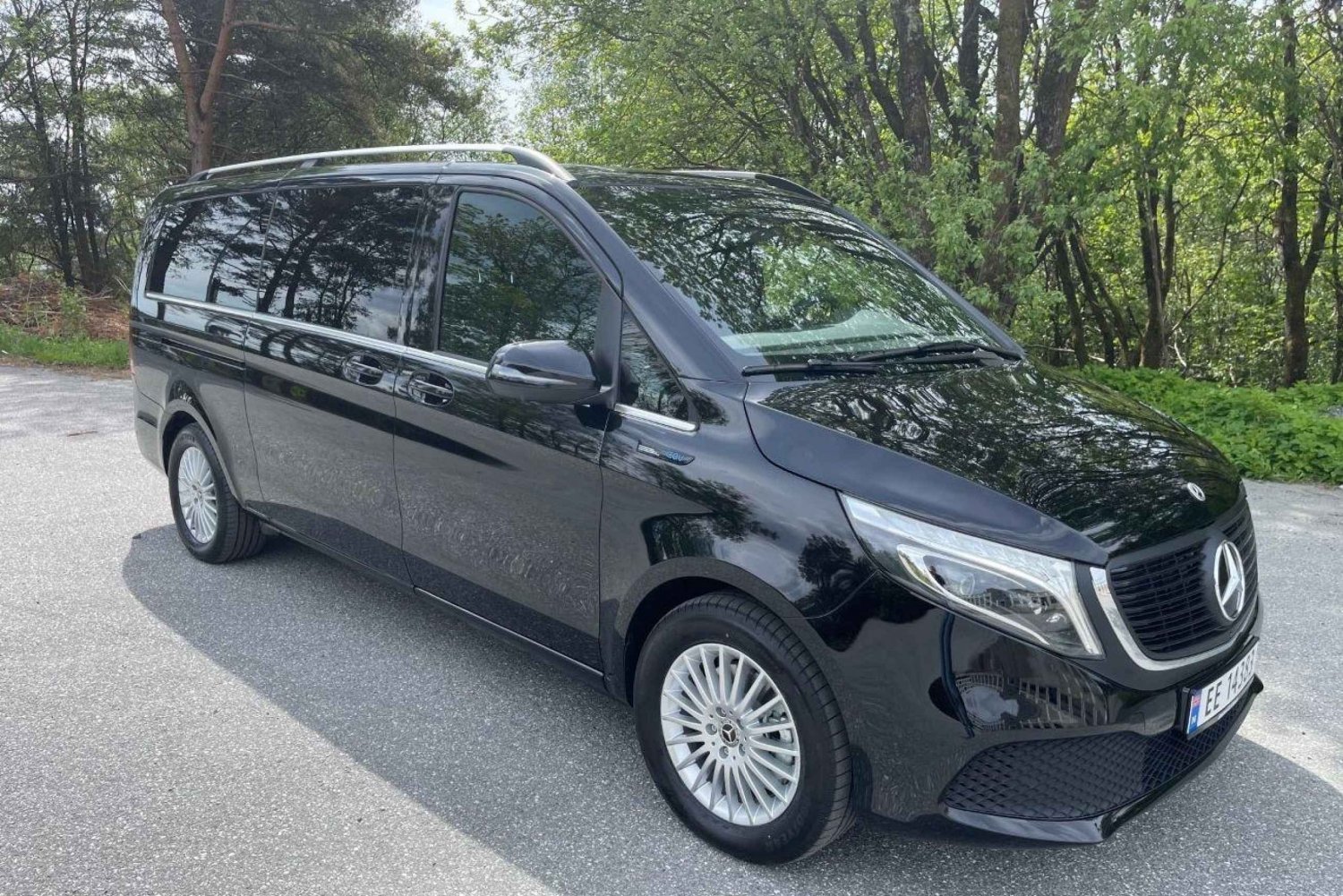 Z Bergen: prywatny transfer do Voss