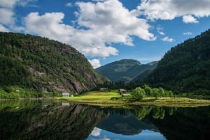 From Bergen: Scenic Fjord Cruise to Mostraumen