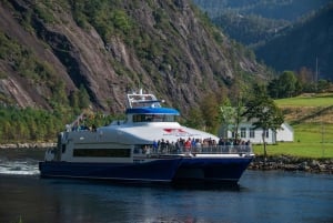 From Bergen: The Original Fjord Cruise to Mostraumen